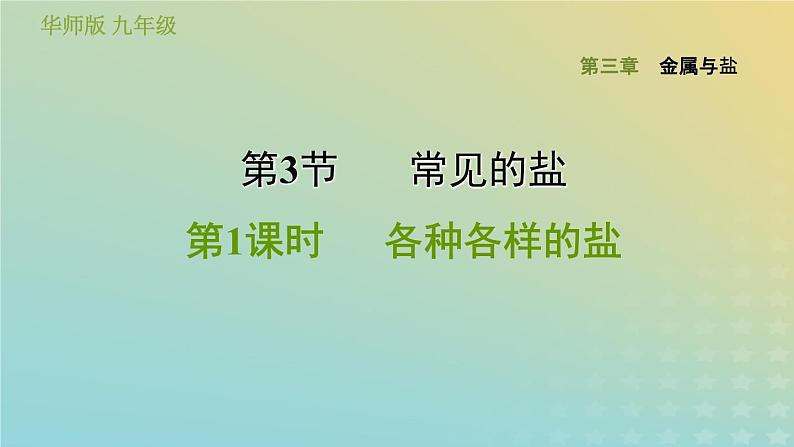 华东师大版九年级科学上册第3章金属与盐3常见的盐第1课时各种各样的盐习题课件01