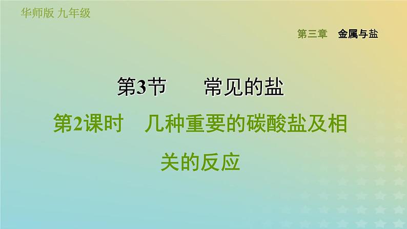 华东师大版九年级科学上册第3章金属与盐3常见的盐第2课时几种重要的碳酸盐及相关的反应习题课件01