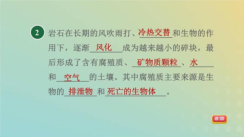 浙教版八年级科学下册第4章植物与土壤第1节土壤的成分习题课件第4页