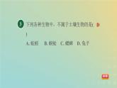 浙教版八年级科学下册第4章植物与土壤第1节土壤的成分习题课件