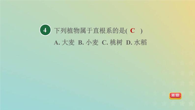 浙教版八年级科学下册第4章植物与土壤第3节植物的根与物质吸收第1课时植物的根系根的吸水和失水习题课件06