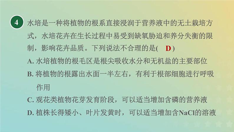 浙教版八年级科学下册第4章植物与土壤第3节植物的根与物质吸收第2课时植物生长需要无机盐习题课件06