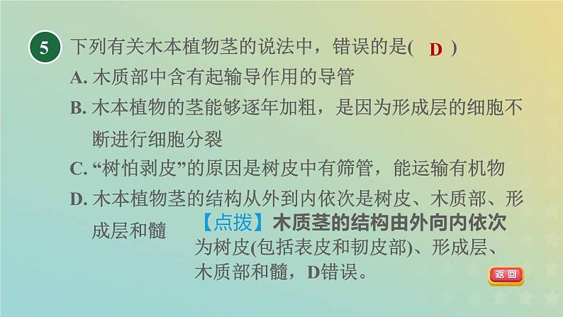 浙教版八年级科学下册第4章植物与土壤第4节植物的茎与物质运输第1课时茎的结构观察木质茎的结构习题课件07