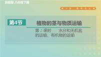 八年级下册第4节 植物的茎与物质运输习题课件ppt