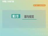 华东师大版八年级科学下册第3章人体的感觉1眼与视觉习题课件