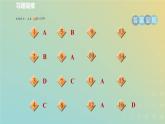 华东师大版八年级科学下册第3章人体的感觉1眼与视觉习题课件