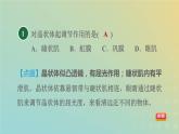 华东师大版八年级科学下册第3章人体的感觉1眼与视觉习题课件
