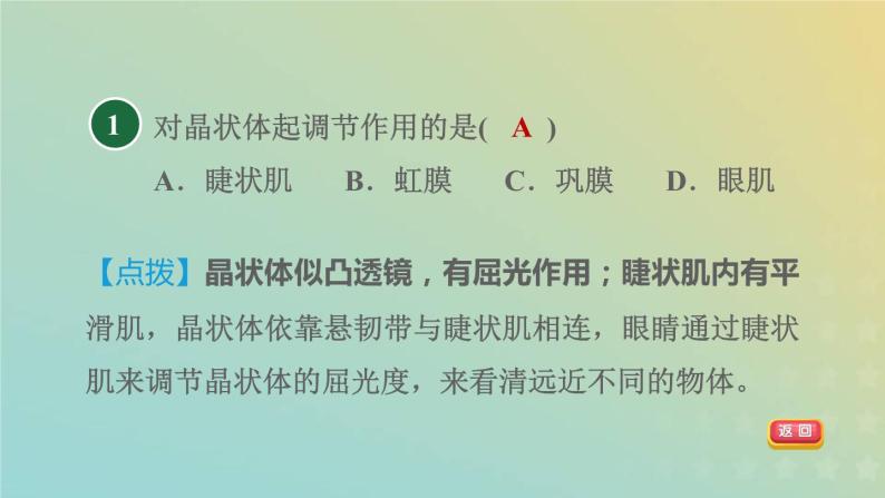 华东师大版八年级科学下册第3章人体的感觉1眼与视觉习题课件03