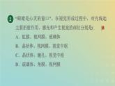 华东师大版八年级科学下册第3章人体的感觉1眼与视觉习题课件