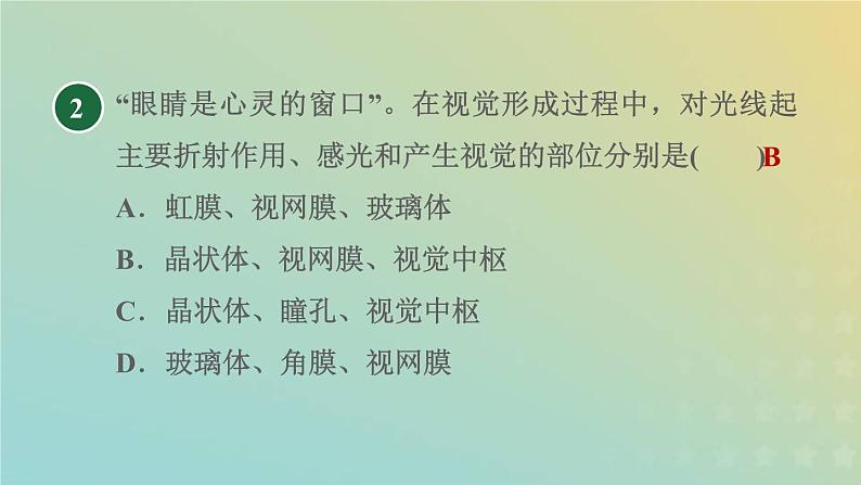 华东师大版八年级科学下册第3章人体的感觉1眼与视觉习题课件04