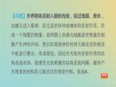华东师大版八年级科学下册第3章人体的感觉1眼与视觉习题课件