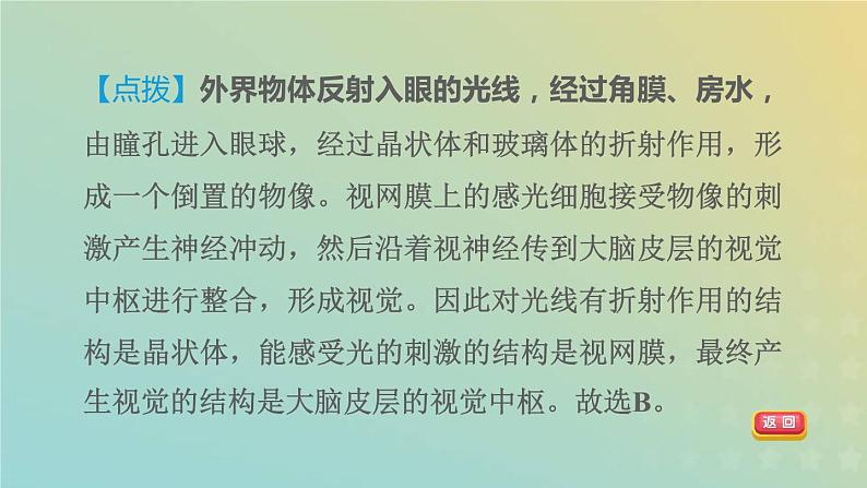 华东师大版八年级科学下册第3章人体的感觉1眼与视觉习题课件05