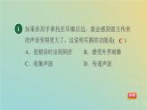 华东师大版八年级科学下册第3章人体的感觉2耳与听觉习题课件