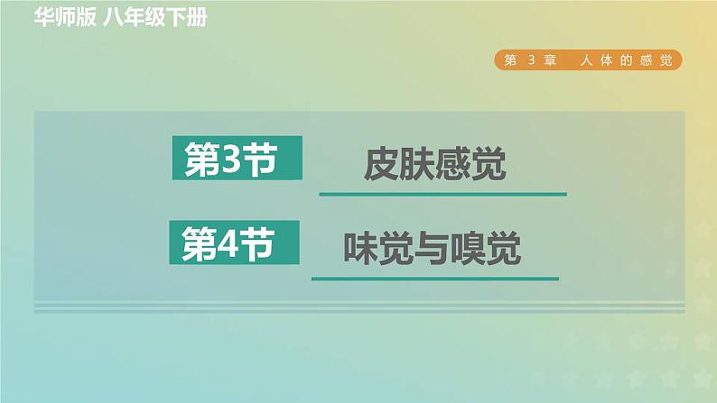 华东师大版八年级科学下册第3章人体的感觉3皮肤感觉4味觉与嗅觉习题课件01