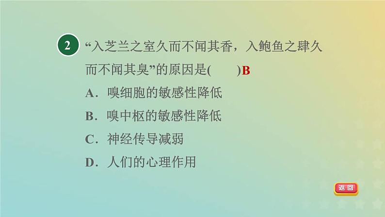 华东师大版八年级科学下册第3章人体的感觉3皮肤感觉4味觉与嗅觉习题课件04