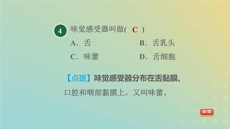 华东师大版八年级科学下册第3章人体的感觉3皮肤感觉4味觉与嗅觉习题课件06