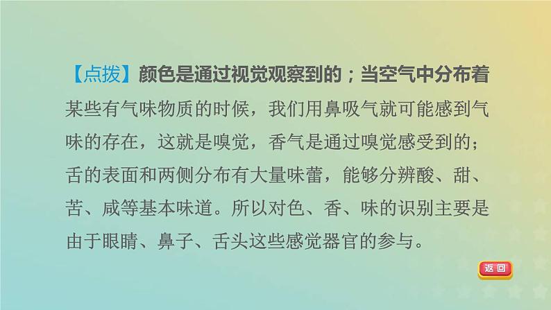 华东师大版八年级科学下册第3章人体的感觉3皮肤感觉4味觉与嗅觉习题课件08