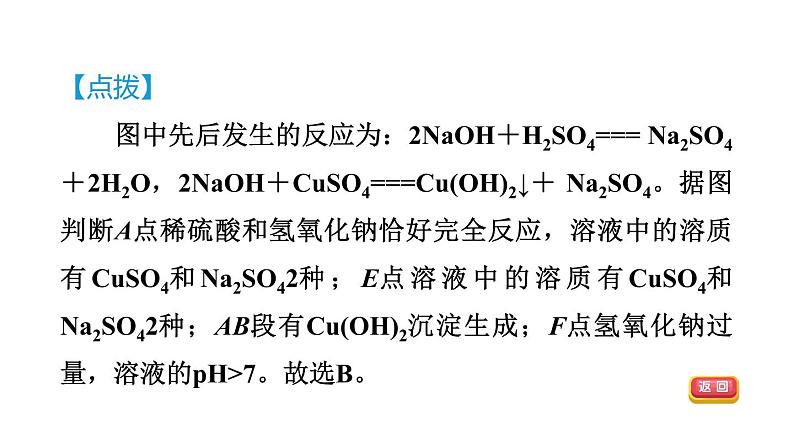 浙教版九年级科学上册第1章物质及其变化专项训练一：酸和碱的性质习题课件06