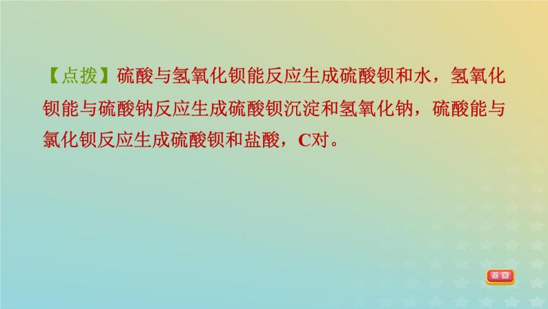 华东师大版九年级科学上册第4章有机物全章高频考点专训专项训练三物质的鉴别鉴定推断习题课件05