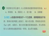 华东师大版八年级科学下册第2章光4眼的成像原理视力的矫正习题课件