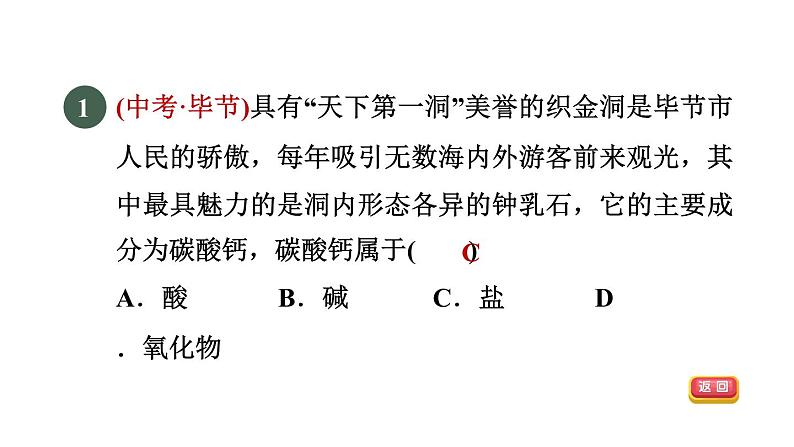 浙教版九年级科学上册第1章物质及其变化专项训练二：盐的性质习题课件03