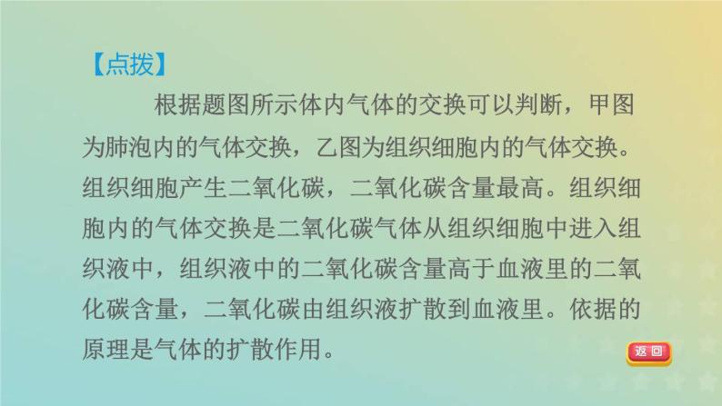 浙教版八年级科学下册第3章空气与生命阶段专项复习六习题课件06