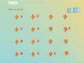 浙教版八年级科学下册第4章植物与土壤阶段专项复习七习题课件
