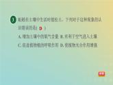 浙教版八年级科学下册第4章植物与土壤阶段专项复习七习题课件