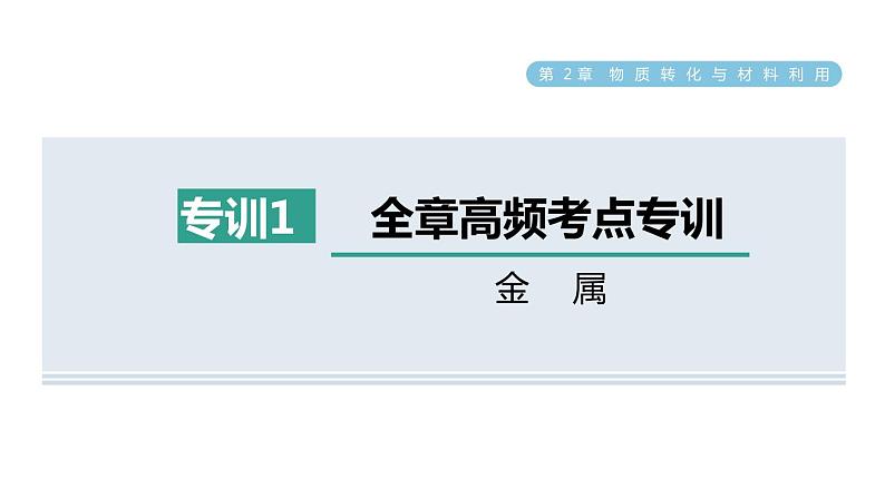 浙教版九年级科学上册第2章物质转化与材料利用专项训练一：金属习题课件01