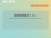 浙教版八年级科学下册第4章植物与土壤阶段专项复习八习题课件