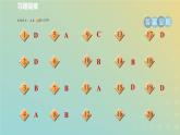 浙教版八年级科学下册第4章植物与土壤阶段专项复习八习题课件