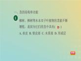 浙教版八年级科学下册第4章植物与土壤阶段专项复习八习题课件
