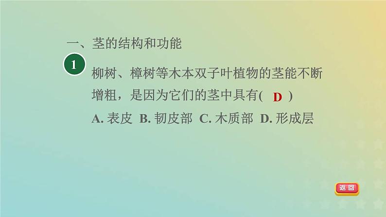 浙教版八年级科学下册第4章植物与土壤阶段专项复习八习题课件03