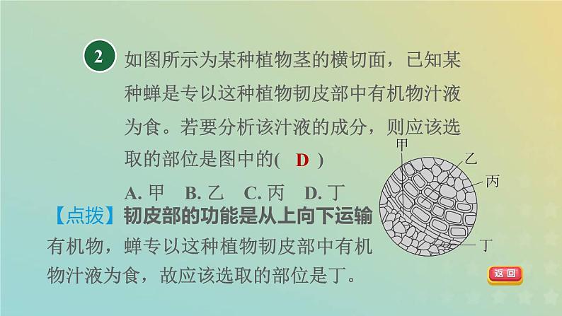 浙教版八年级科学下册第4章植物与土壤阶段专项复习八习题课件04