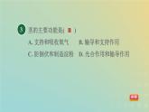 浙教版八年级科学下册第4章植物与土壤阶段专项复习八习题课件