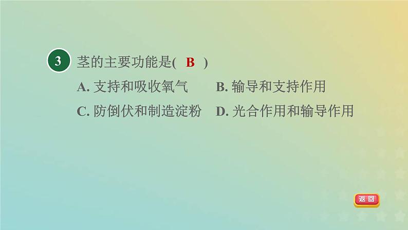 浙教版八年级科学下册第4章植物与土壤阶段专项复习八习题课件05