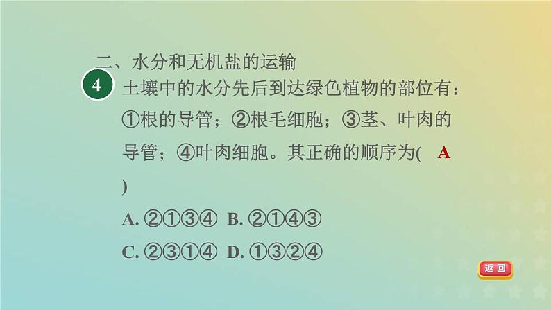 浙教版八年级科学下册第4章植物与土壤阶段专项复习八习题课件06