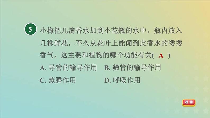 浙教版八年级科学下册第4章植物与土壤阶段专项复习八习题课件07