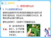 浙教版科学 八年级上册 3.1 植物生命活动的调节（第2课时） 课件+教案+练习