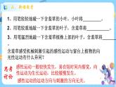 浙教版科学 八年级上册 3.1 植物生命活动的调节（第2课时） 课件+教案+练习