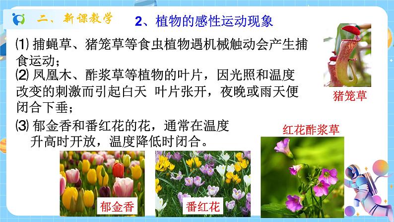 浙教版科学 八年级上册 3.1 植物生命活动的调节（第2课时） 课件+教案+练习05