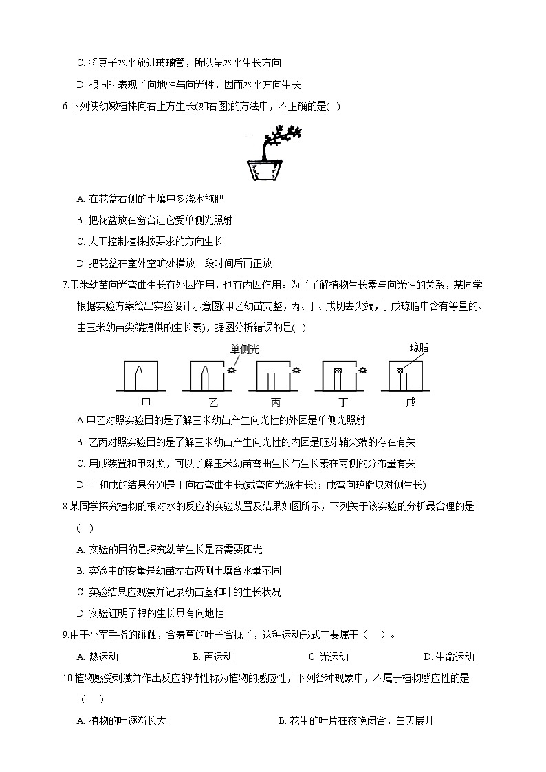 浙教版科学 八年级上册 3.1 植物生命活动的调节（第1课时） 课件+教案+练习02