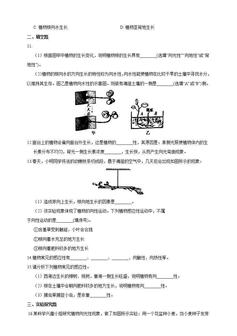 浙教版科学 八年级上册 3.1 植物生命活动的调节（第1课时） 课件+教案+练习03