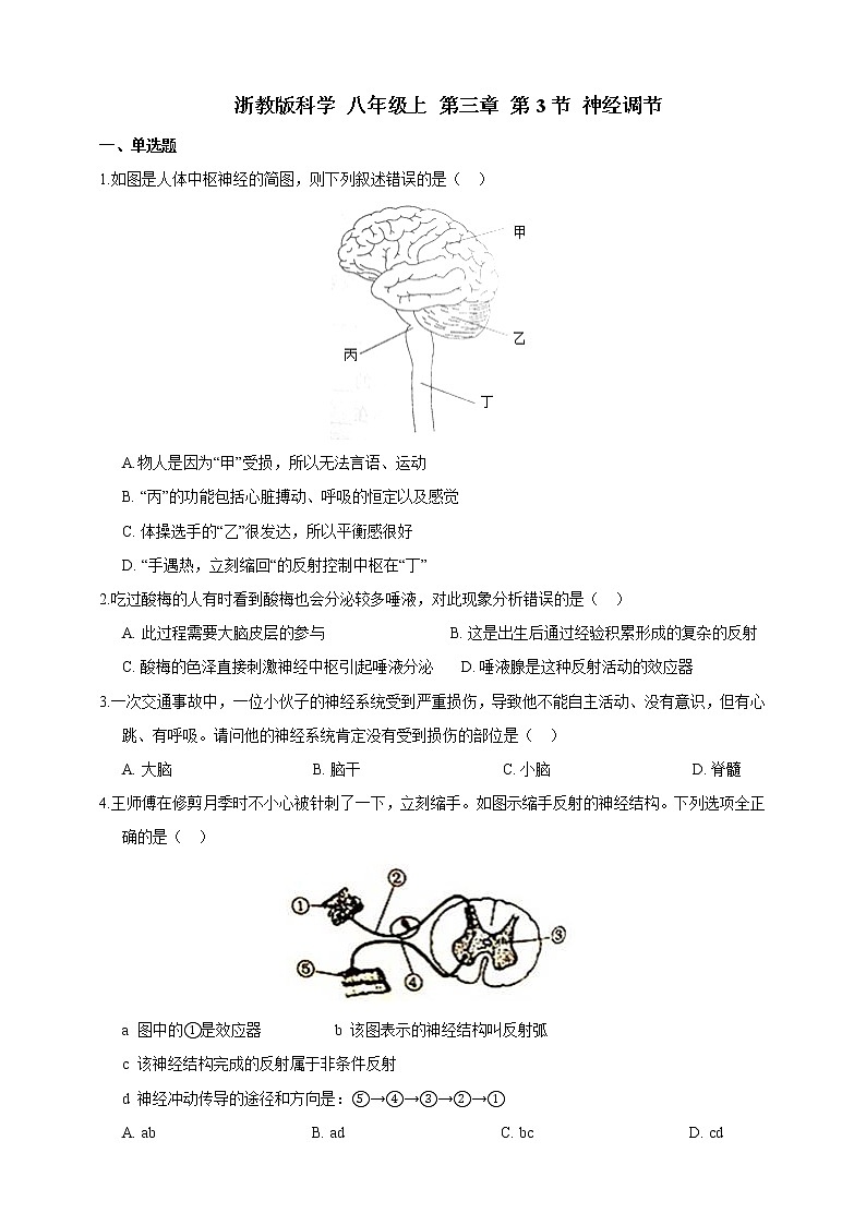 浙教版科学 八年级上册 3.3 神经调节（第2课时） 课件+教案+练习01