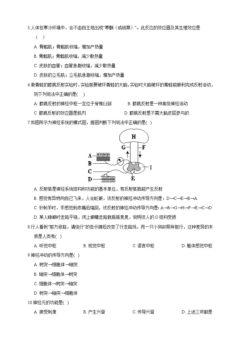 浙教版科学 八年级上册 3.3 神经调节（第2课时） 课件+教案+练习02