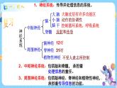 浙教版科学 八年级上册 3.3 神经调节（第2课时） 课件+教案+练习