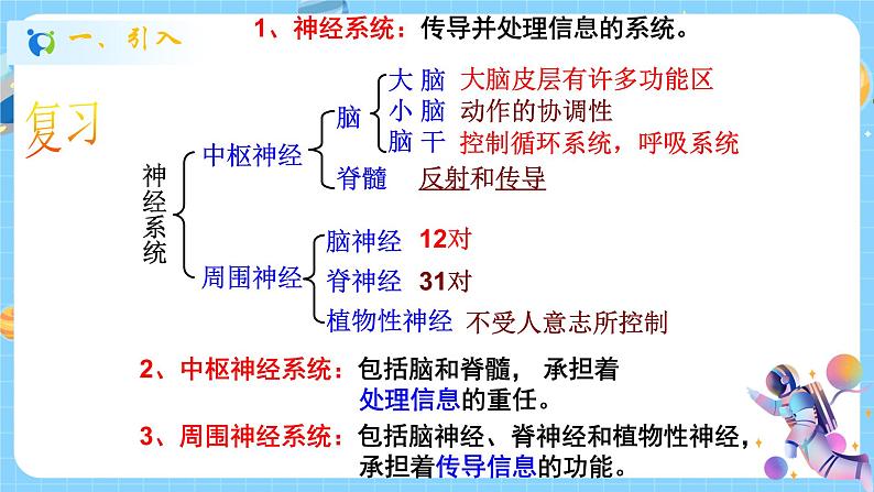 浙教版科学 八年级上册 3.3 神经调节（第2课时） 课件+教案+练习02