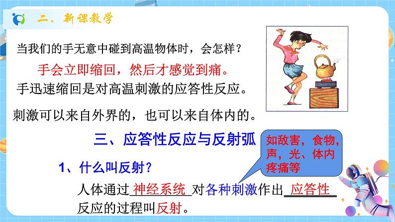 浙教版科学 八年级上册 3.3 神经调节（第2课时） 课件+教案+练习03