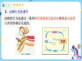 浙教版科学 八年级上册 3.4 动物的行为（第1课时） 课件+教案+练习