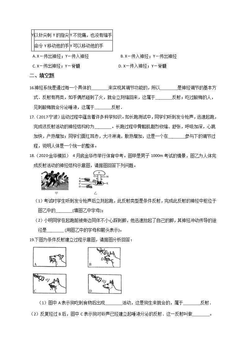 浙教版科学 八年级上册 3.3 神经调节（第1课时） 课件+教案+练习03